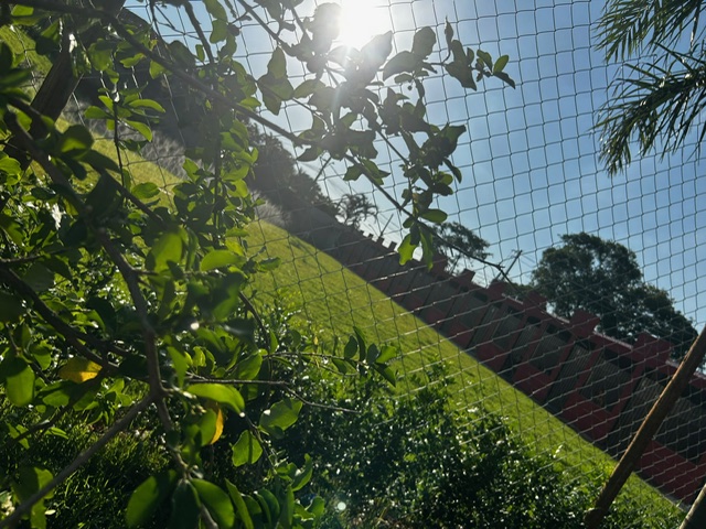 Canil Unopet Kennel & School - cerca de proteção e vegetação ao redor do espaço