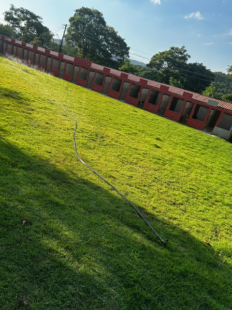 Canil Unopet Kennel & School - área externa com gramado amplo e suítes