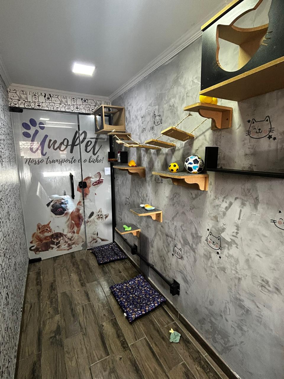 Gatil Unopet Kennel & School - ambiente exclusivo para gatos com prateleiras, nichos e brinquedos